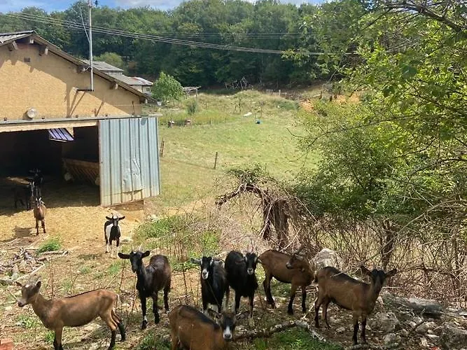 Ferienhaus Atypique *